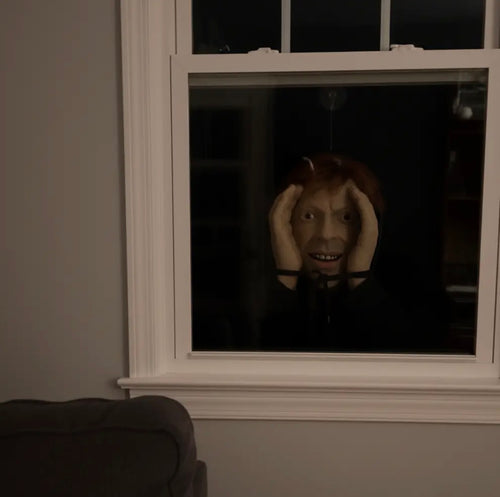Scary Window Peeper Halloween Prank